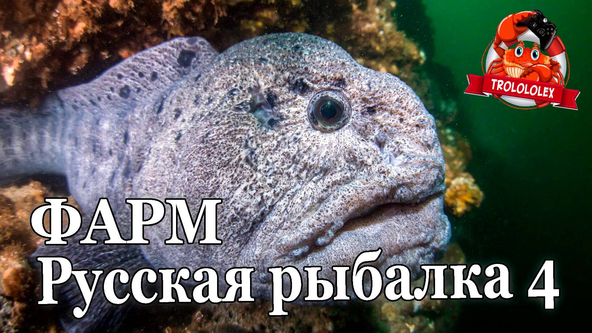 Русская рыбалка 4.ФАРМ на Норвежском море смотреть онлайн