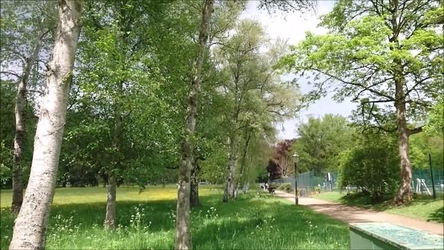 Майский парк в цвету смотреть онлайн