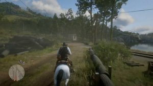 Red Dead Redemption 2_мастер охотник убиваю пум из лука