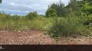 The Ultimate Rebak Island Resort & Marina (Langkawi) Review