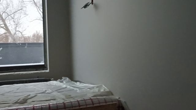Розетки