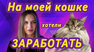 ВЯЗКА КОШЕК! ЗНАЙ ЭТО, ЧТОБЫ НЕ ПОПАСТЬ НА МОШЕННИЧЕСТВО! #top #cat #котики #мейнкун