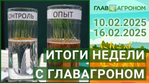 Итоги недели с ГлавАгроном. 10.02.2025 - 16.02.2025