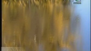 14_О болезнях..Серафим Саровский.