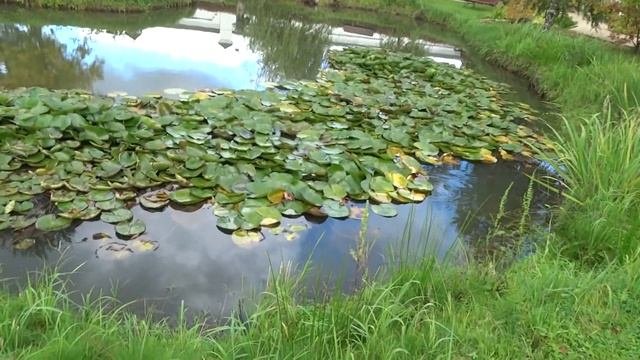 Мансурово