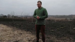 Сколько можно заработать на пчеловодстве