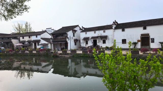 江南古村东梓关🌿一江春水，富春山居🌊⛰油菜花、小巷、池塘、中国最美回迁房🌾4KHDR