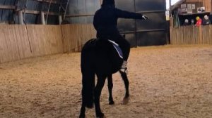 Алена и Наоми, ППДА, помешали ехать. #horse #equestrian #лошади #pony