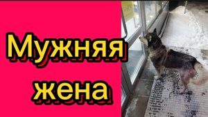 ДЕРЕВЕНСКИЙ ДНЕВНИК. "Мужняя жена"