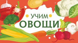 Овощи для детей. Изучаем овощи по картинкам. Карточки ДОМАНА