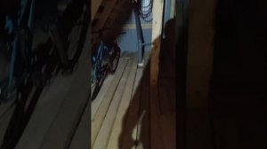 Баня из липы 5 на 6