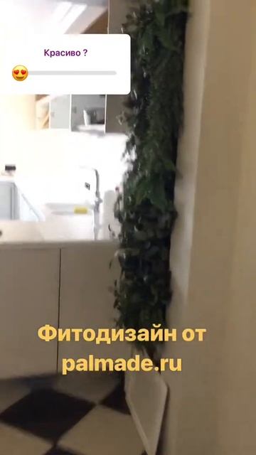 Фитодизайн от Palmade.ru