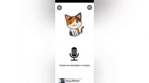 Тестируем переводчик для кошек! С человеческого на кошачий!| Действует ли он?!|@pets-xn6qc!