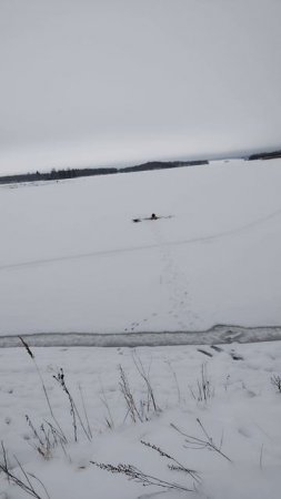 Моржую, более подробно в длином видео 15.02.25