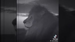 Кто твой настоящий друг