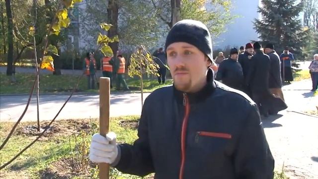 Липовая аллея