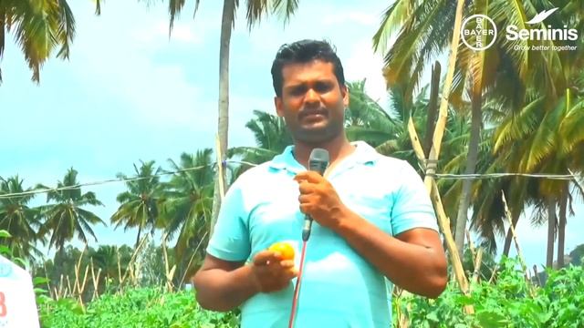 Seminis Hybrid Tomatoes. Learn more by watching the video