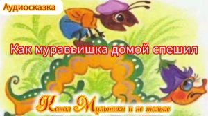 Как муравьишка домой спешил | Виталий Бианки | Сказки детям 📚 | Сказка на ночь 😴 Аудиосказка 📖