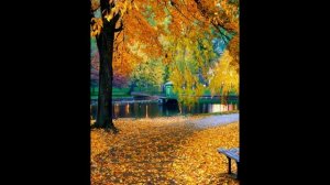 Подметает листья дворник