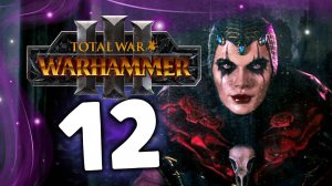 Эльспет фон Дракен Total War Warhammer 3 прохождение за Империю (сюжет) - часть 12