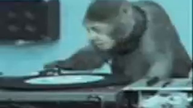 зацените.wmv смотреть онлайн