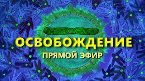 Прямой эфир "Освобождение". Обзор событий. Про регресс. (16.02.25)