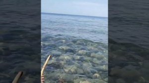 Отдых на море с внуком. Третья серия.