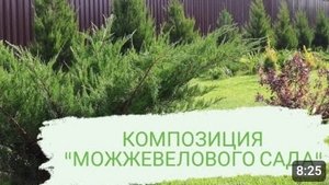 ЦЕНТРАЛЬНАЯ КОМПОЗИЦИЯ В "МОЖЖЕВЕЛОВОМ САДУ". ОКТЯБРЬ 2023г.