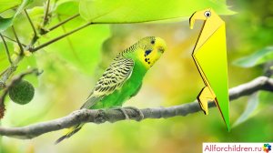 Оригами ПОПУГАЙ | Origami Parrot