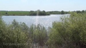 д.Богдановка, п.Красный Куст, Бондарский район