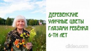 Деревенские уличные цветы глазами ребёнка 6-ти лет