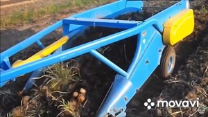 Т 25 з картоплекопалкой Agromet z609