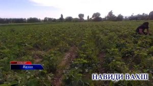 🍓🍓🍓 Қулфинай дар Кирови н. Вахш