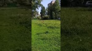 Из архива