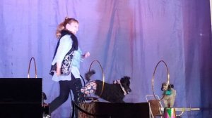 Цирк в Орске ДК Железнодорожников