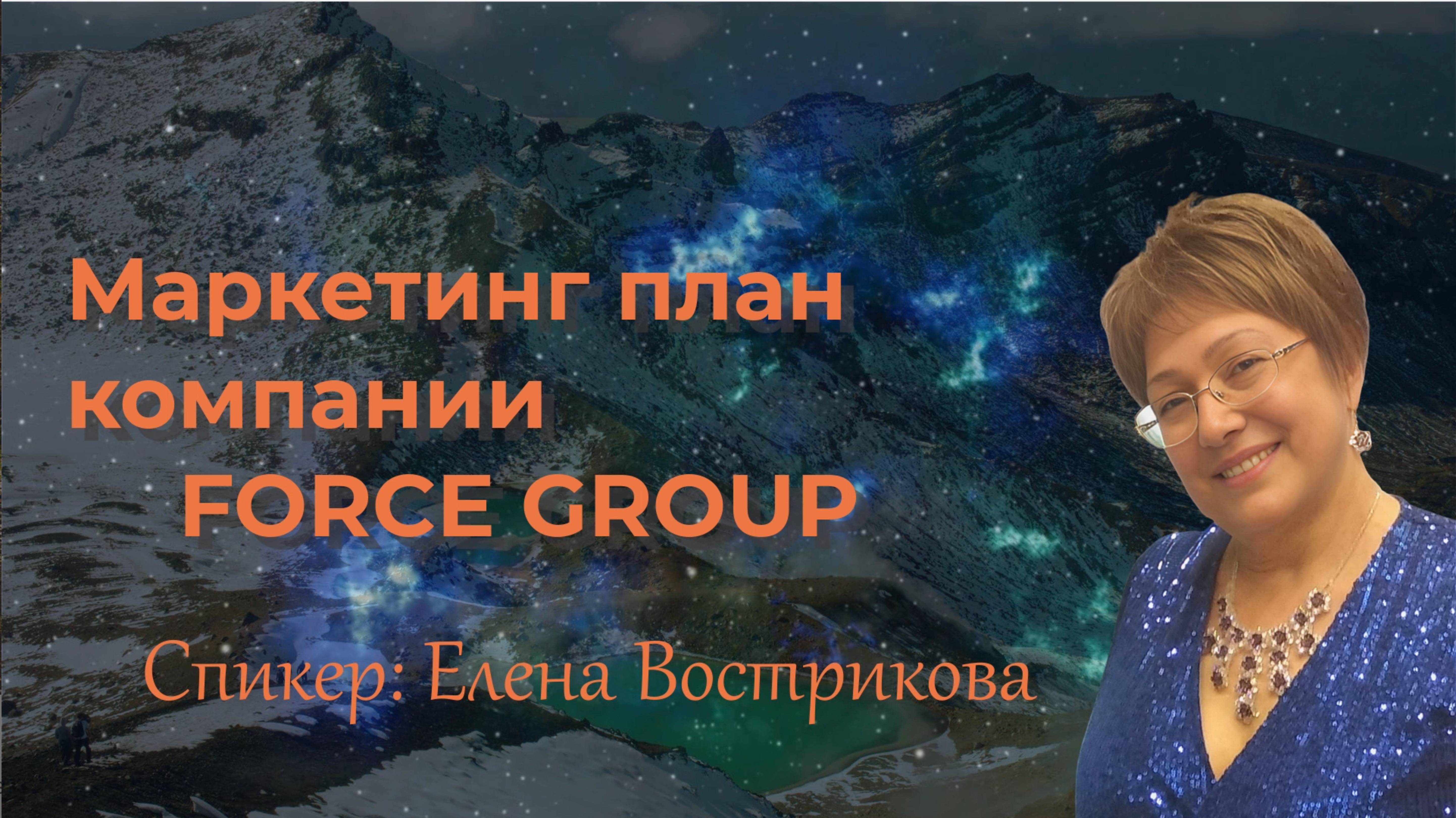 Маркетинг план компании FORCE GROUP