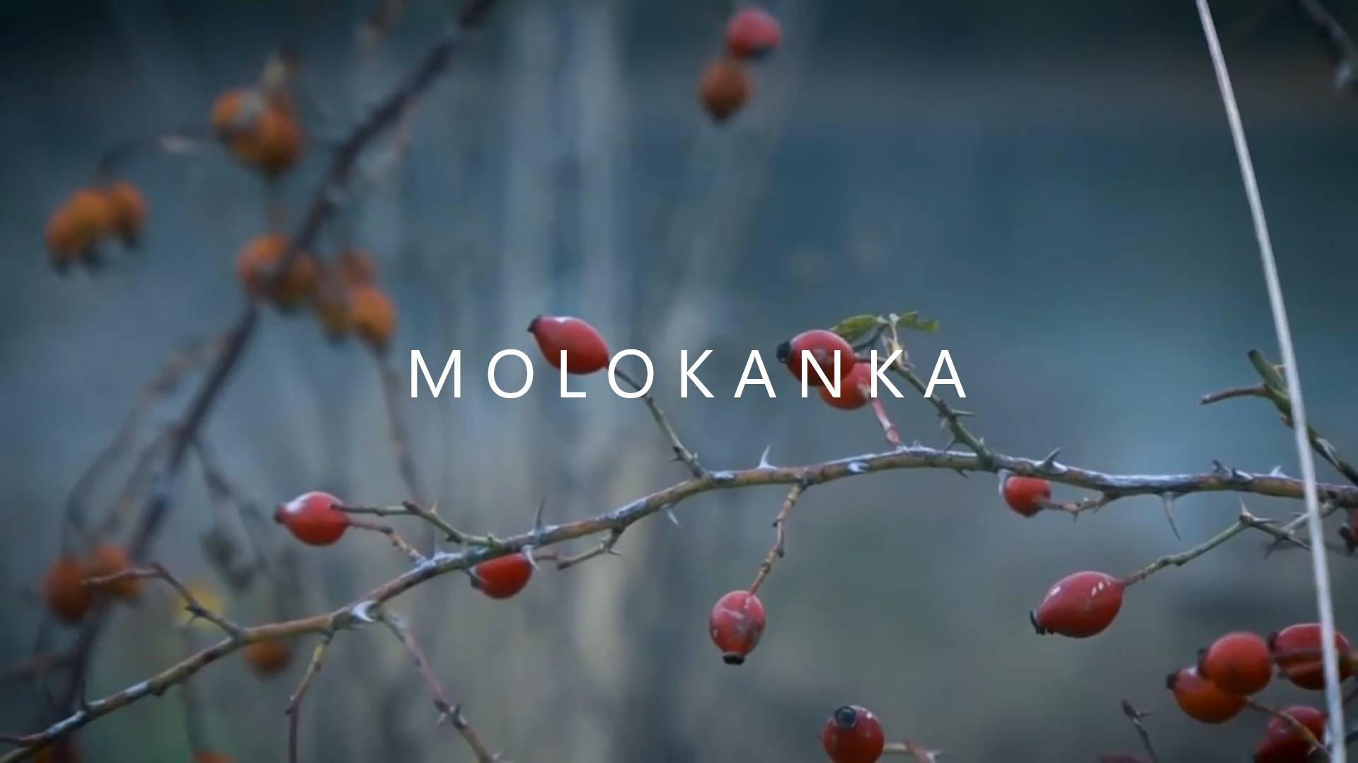 MOLOKANKA. Trailer. Director Tatiana Snisarenko