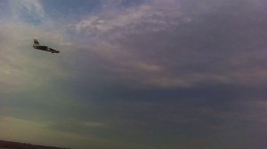 шустрый ДЕЛЬТА