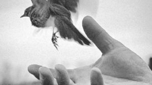 с тобою или без я дотянусь до небес ❤️🔥🔥🔥хит тик-ток #любовь #топ #тренды #хит #хочуврек