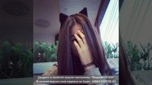 Киса Киса, мяу мяу