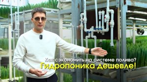 Бюджетная система полива тюльпанов | Подача воды, перелив, водоотведение