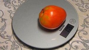 Томат Отец Горео. Тест зрелых плодов.