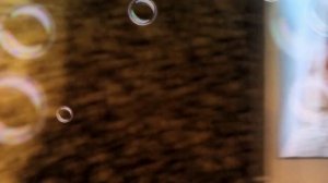 Лисий хвост