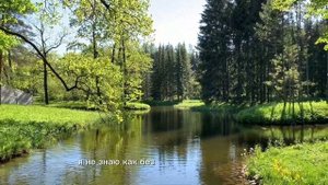 Невероятно красивая песня про весну. Прогулка в цветущем парке