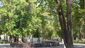 Фонтан с «лягушками» на тихом Компросе.