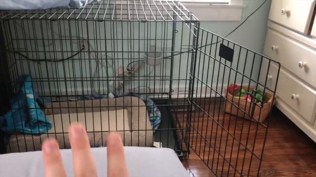 Dying My Hair & Going Back To College // WEEK 1 смотреть онлайн