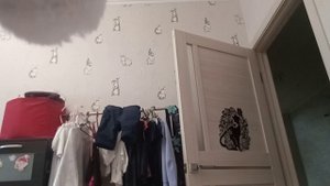 пельмень