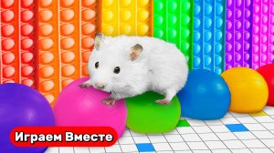 СЛОЖНЫЙ ЛАБИРИНТ ДЛЯ ХОМЯКА ! Выбираемся через ЛОВУШКИ ! Виде для детей