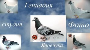 ФОТОСТУДИЯ