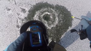 Рыбалка на судака. Река Дон, х. Вертячий.